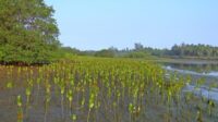 IMG_20220615_221221