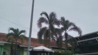 Cuaca Kota Kudus