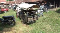 Ojek Kambing