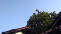 Cuaca
