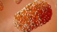 ilustrasi virus monkeypox