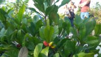 IMG-20230417-WA0039