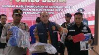 IMG-20230819-WA0017