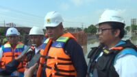 pln