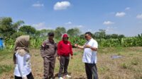 20240912_102322 Pj Bupati Kudus, Muhammad Hasan Chabibie (kanan) didampingi Ketua Sementara Dewan Perwakilan Rakyat Daerah Kabupaten Kudus, Masan dan Kepala Kejaksaan Negeri Kudus, Henriyadi W Putro. Serta ada pula Kepala Dinas Tenaga Kerja, Perindustrian, Koperasi, dan Usaha Mikro, Kecil, Menengah (Disnakerperinkop-UKM) Kabupaten Kudus, Rini Kartika Hadi Ahmawati saat sidak proyek pembangunan SIHT di Desa Klaling, Kecamatan Jekulo, Kabupaten Kudus pada Kamis, 12 September 2024. (Nila/Zonanews.id)
