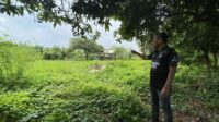 Sekolah Rakyat