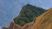WhatsApp Image 2025-06-25 at 12.01.49