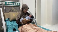 Ibu
