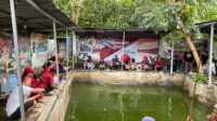 Mancing lele