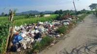 sampah