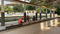 kolam renang
