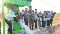 TNI
