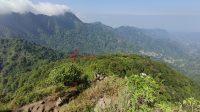 Puncak 29