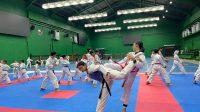 taekwondo